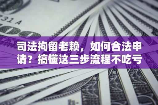 北京司法拘留老赖，如何合法申请？搞懂这三步流程不吃亏！