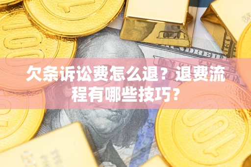 北京欠条诉讼费怎么退？退费流程有哪些技巧？