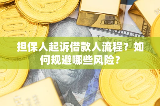 北京担保人起诉借款人流程？如何规避哪些风险？